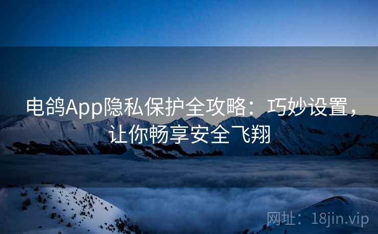 电鸽App隐私保护全攻略：巧妙设置，让你畅享安全飞翔