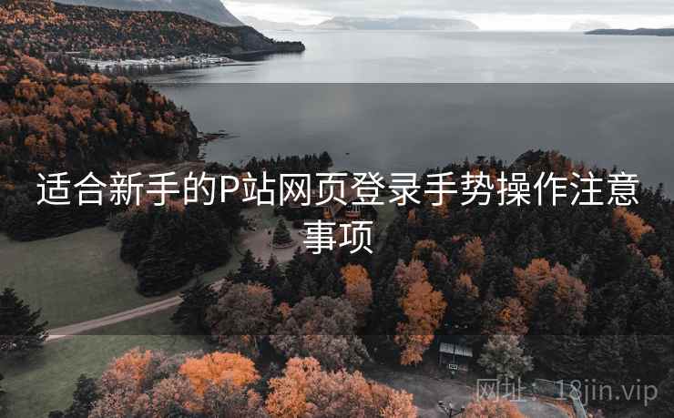 适合新手的P站网页登录手势操作注意事项