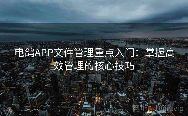 电鸽APP文件管理重点入门：掌握高效管理的核心技巧