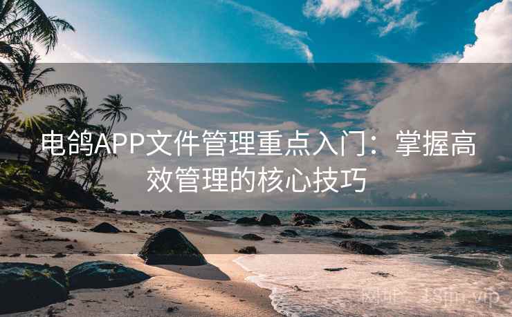 电鸽APP文件管理重点入门：掌握高效管理的核心技巧