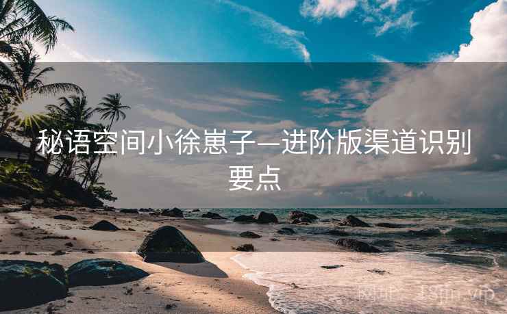 秘语空间小徐崽子—进阶版渠道识别要点