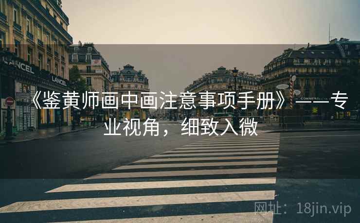 《鉴黄师画中画注意事项手册》——专业视角，细致入微