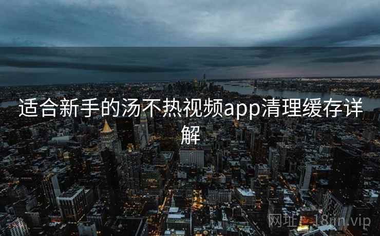 适合新手的汤不热视频app清理缓存详解