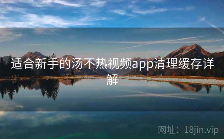 适合新手的汤不热视频app清理缓存详解