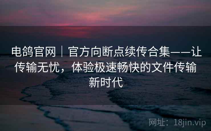电鸽官网｜官方向断点续传合集——让传输无忧，体验极速畅快的文件传输新时代