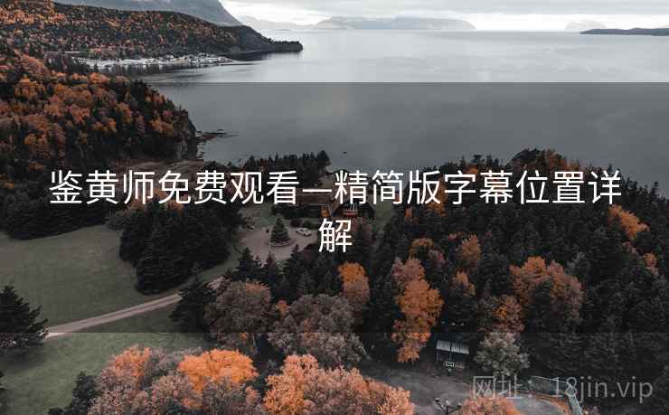 鉴黄师免费观看—精简版字幕位置详解