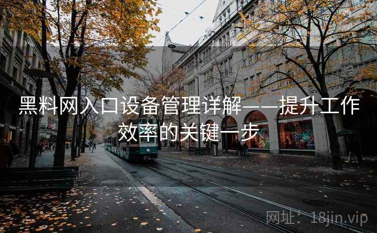黑料网入口设备管理详解——提升工作效率的关键一步