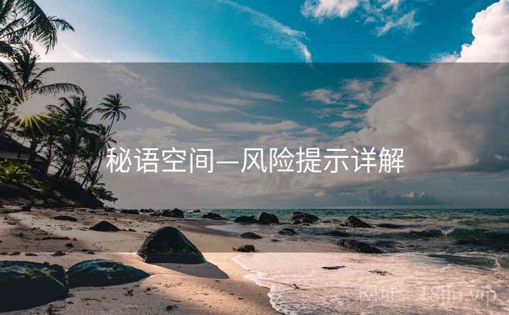 秘语空间—风险提示详解