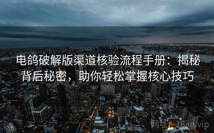 电鸽破解版渠道核验流程手册：揭秘背后秘密，助你轻松掌握核心技巧