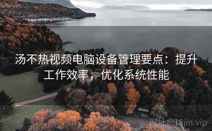 汤不热视频电脑设备管理要点：提升工作效率，优化系统性能