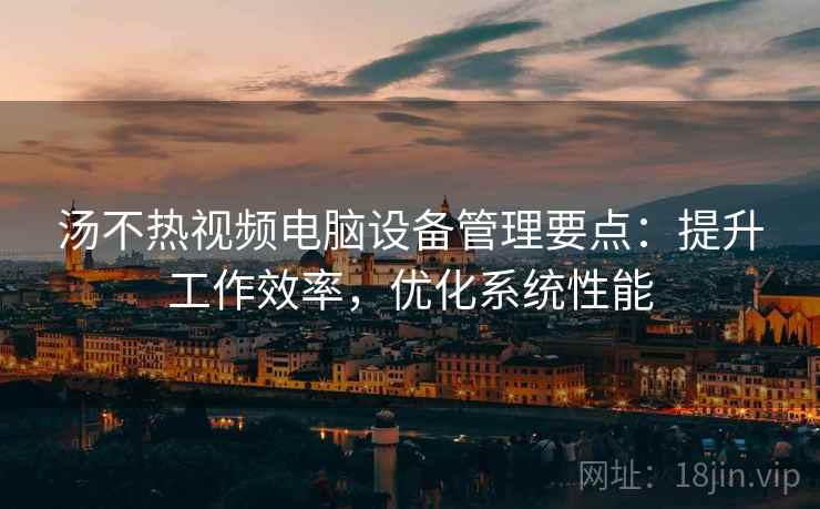 汤不热视频电脑设备管理要点：提升工作效率，优化系统性能