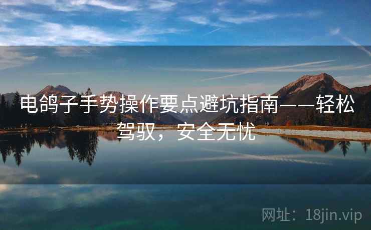 电鸽子手势操作要点避坑指南——轻松驾驭，安全无忧