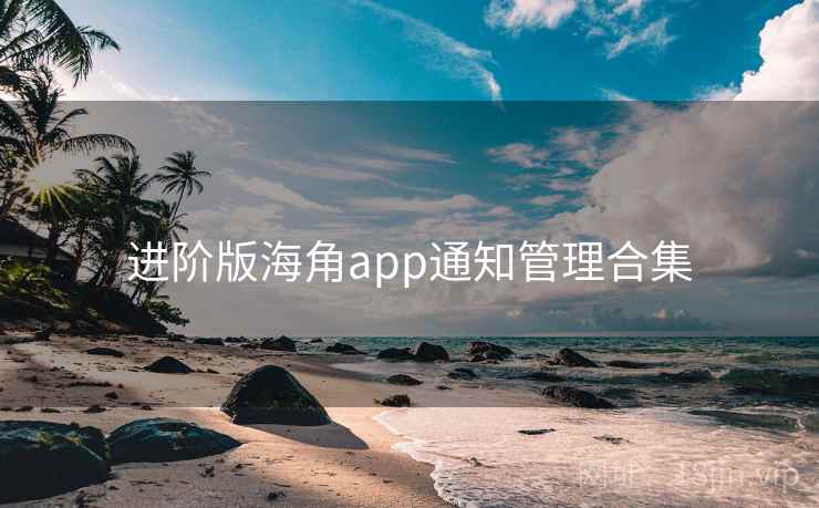 进阶版海角app通知管理合集