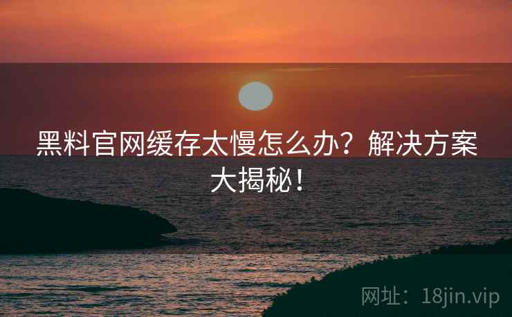 黑料官网缓存太慢怎么办？解决方案大揭秘！