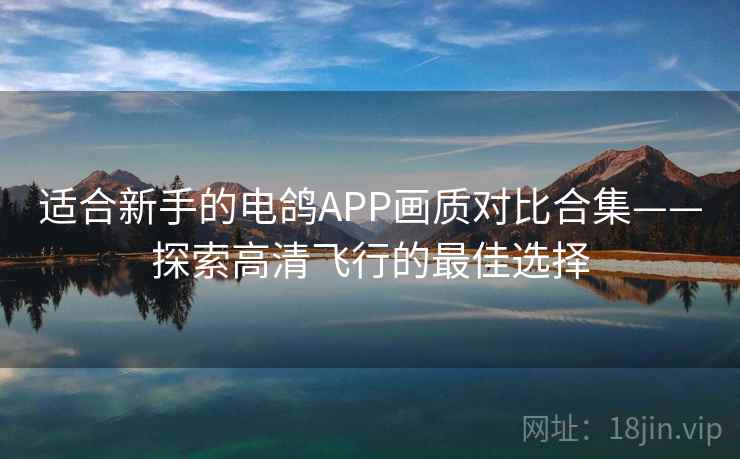 适合新手的电鸽APP画质对比合集——探索高清飞行的最佳选择